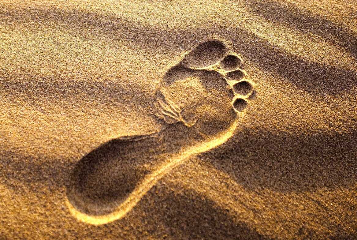Bare foot, barefoot, natural, primal gait, sand walking, beach walking