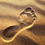 Bare foot, barefoot, natural, primal gait, sand walking, beach walking